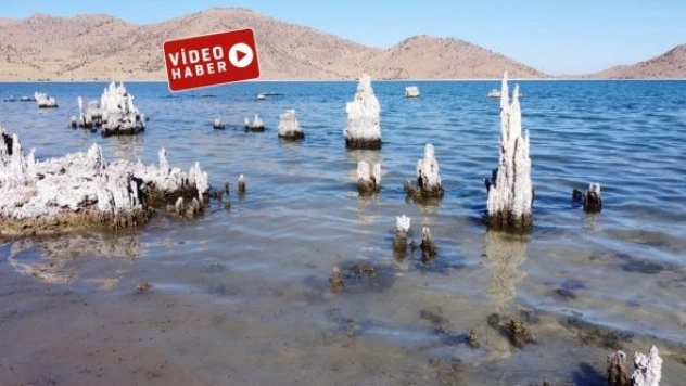 Van Gölü'nde korkunç gerçek...