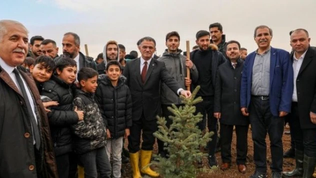 3 ilde  'Milli Ağaçlandırma Günü'nde binlerce fidan dikildi