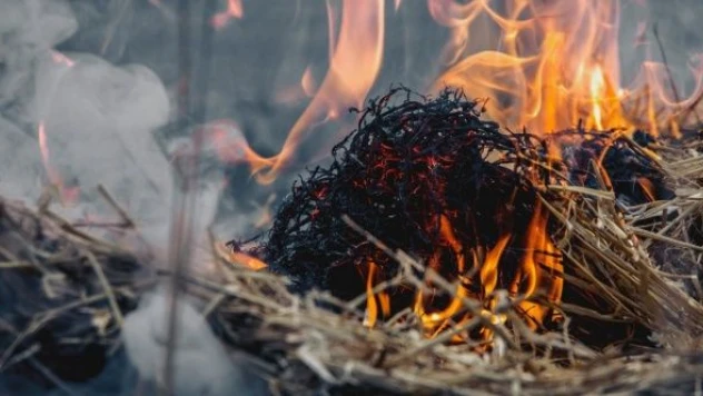 Ağrı'da besicinin otları küle döndü
