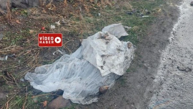 Ağrı'daki kazadan feci görüntüler... 7 kişinin yanmış cesedine ulaşıldı...