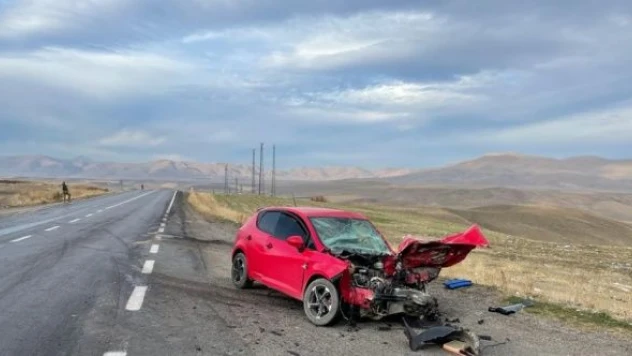 Yine Ağrı, yine trafik kazası
