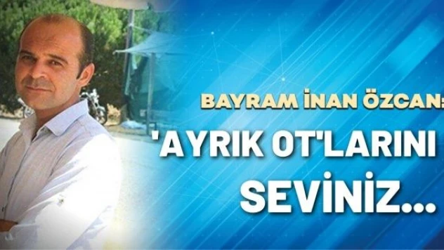 B. İnan Özcan yazdı: &quotAyrık otlarını seviniz&quot