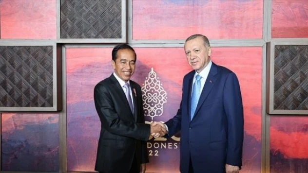 Cumhurbaşkanı Erdoğan, Endonezya Devlet Başkanı Widodo ile bir araya geldi