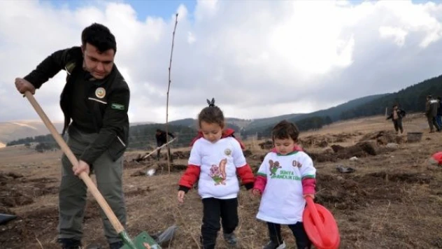 Doğu Anadolu'da 'Milli Ağaçlandırma Günü'nde fidanlar dikildi