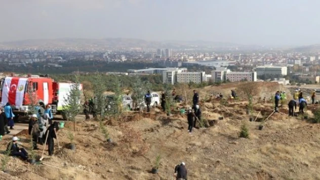 Elazığ, Bingöl ve Mardin'de 'Milli Ağaçlandırma Günü' kapsamında fidanlar toprakla buluşturuldu