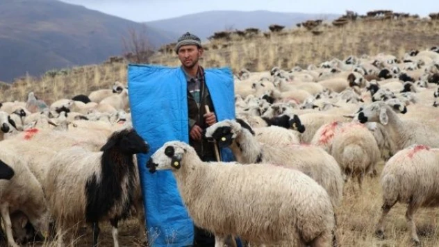Erzincan'da göçerlerin dönüş yolculuğu başladı