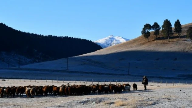 2 ilde soğuk hava ve sis etkili oldu
