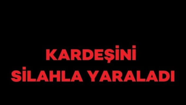 Kardeşini tabancayla göğsünden vurdu