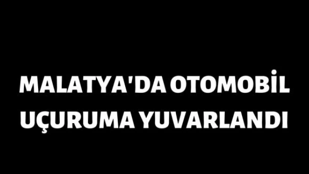 Malatya'da iki kardeş uçuruma yuvarlandı