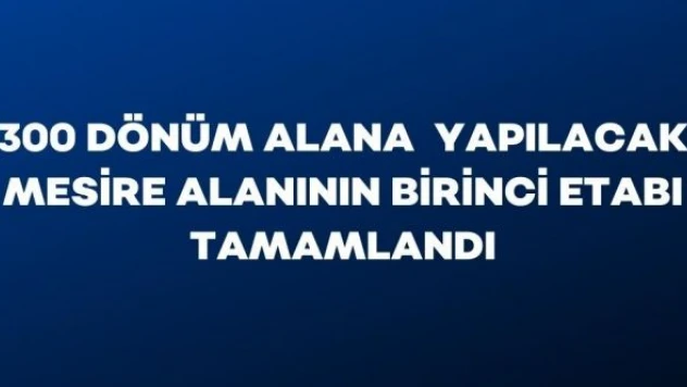 Tatvan'da yapılması planlanan mesire alanının ilk etabı tamamlandı