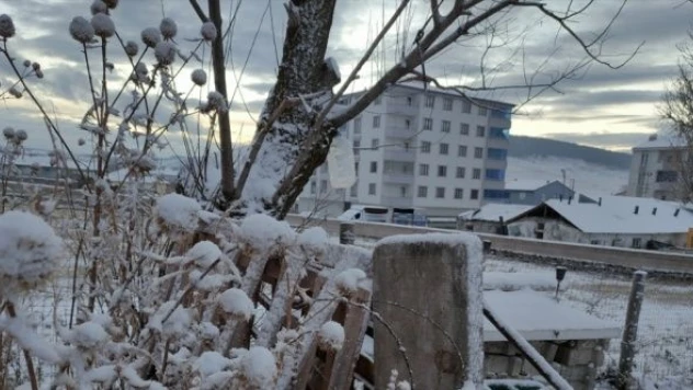 Ardahan'da kar ve soğuk hava etkili oluyor