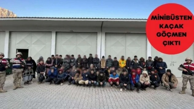 Bitlis'te kaçak göçmen operasyonu!
