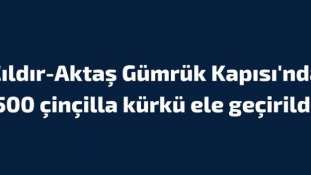 Çıldır-Aktaş Gümrük Kapısı'nda 500 çinçilla kürkü ele geçirildi