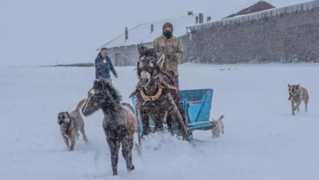 Doğu Anadolu soğuk hava ve kara teslim oldu