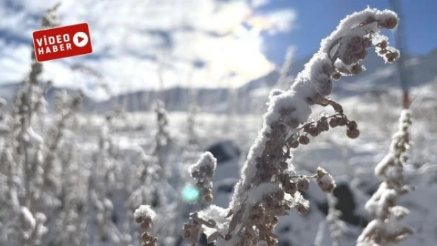 Doğu Anadolu kara teslim oldu