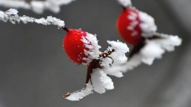 Doğu soğuk havaya teslim oldu