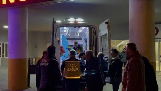 Erzincan'da feci kaza:  Araç şarampole uçtu