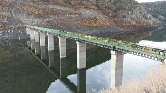 Hizmette sınır yok! Ardahan'da ineklere özel köprü