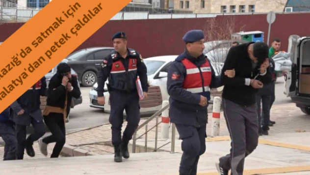 Kalorifer petekleri seyahate çıktı