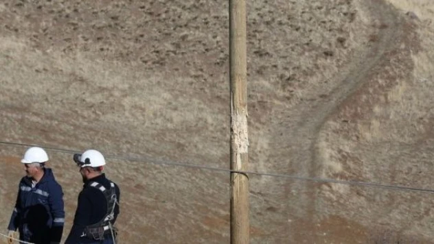 Muş'ta ayılar elektrik direklerine zarar verdi