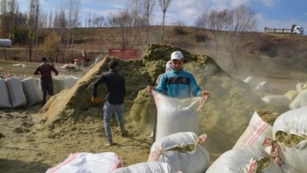 Muş'ta besicilerin kışlık yem mesaisi devam ediyor