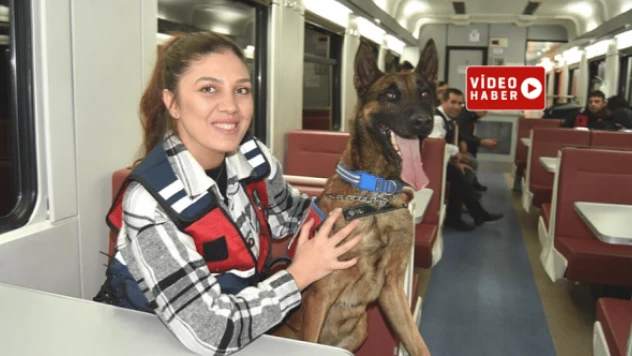 Narkotik köpeği Çapkın, Doğu Ekspresi yolcularının eğlencesi oldu