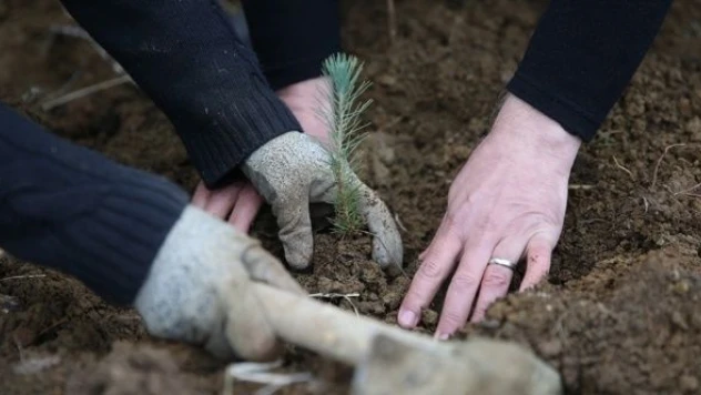 Tarım ve Orman Bakanlığı bin 613 personel istihdam edecek