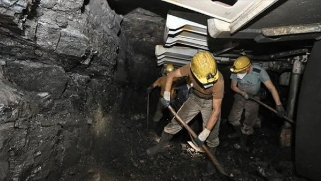 Türkiye Taşkömürü Kurumu 34 nitelikli işçi alımı yapacak