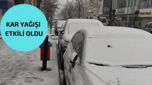 Van'da kar yağışı etkili oldu