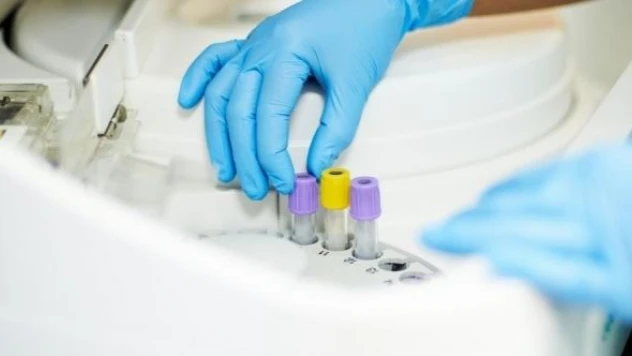 Van'da sahte diploma vakası: 11 yıl çalışmış!