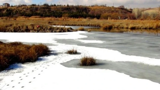 Ahlat'ta kuş cenneti dondu