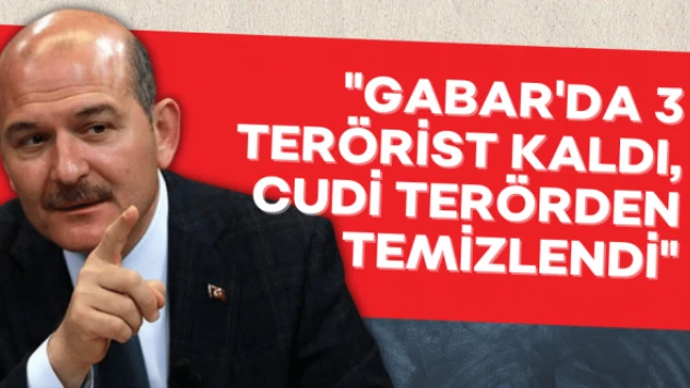 Bakan Soylu: &quotGabar'da 3 terörist kaldı&quot