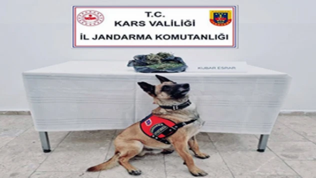 Kars'ta uyuşturucu operasyonu