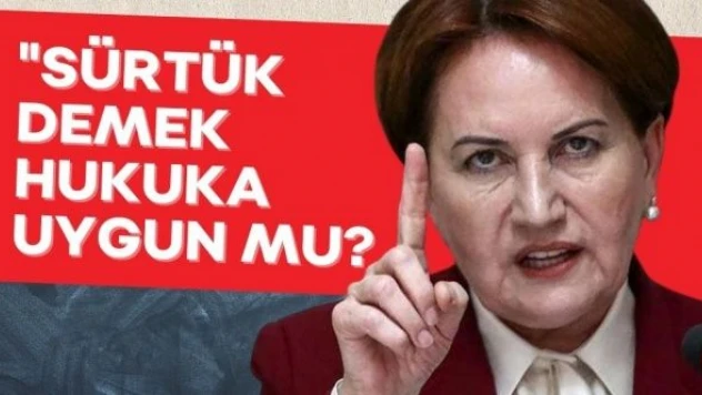 Meral Akşener'den İstanbul Sözleşmesi tepkisi