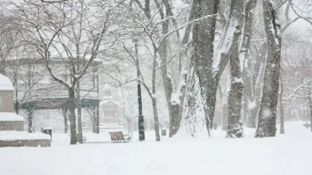 Muş Valiliği: 'Tüm ilin kar yağışlı sistemin etkisine girmesi bekleniyor'