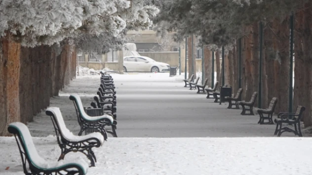 Muş'ta kar değil kırağı yağdı