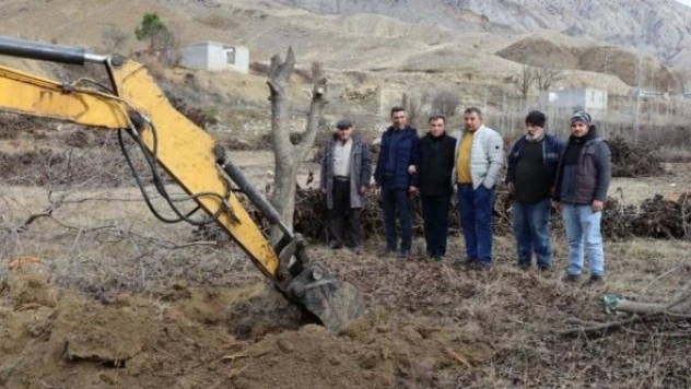 Oltu'dan Artvin'e ağaç seferberliği