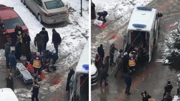 Van'da sokak köpeği çocuğa saldırdı