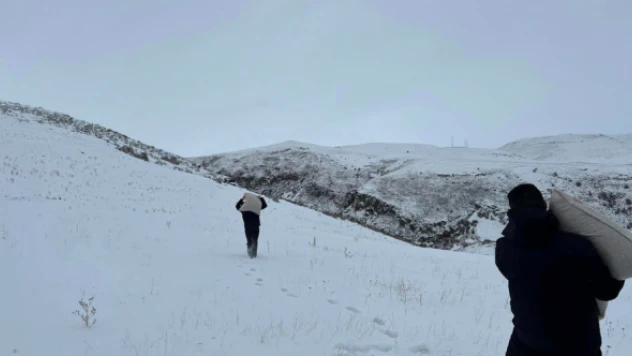 Kars'ta yaban hayvanları unutulmadı