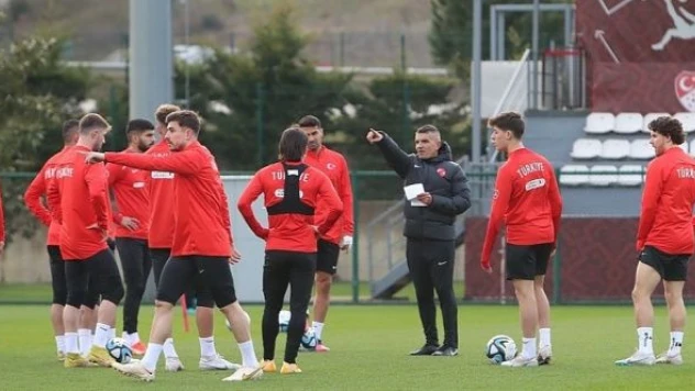 A Milliler Ermenistan'a gitti