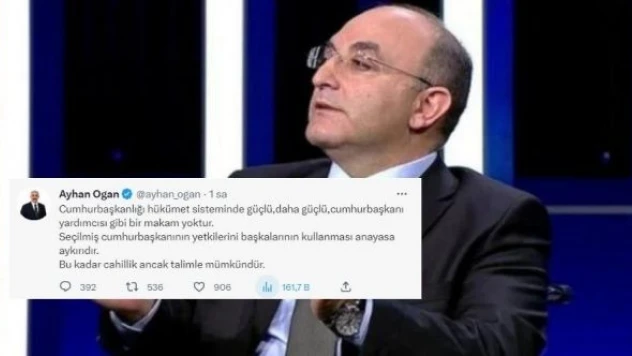 Ayhan Oğan'dan 'icracı cumhurbaşkanı'na tepki
