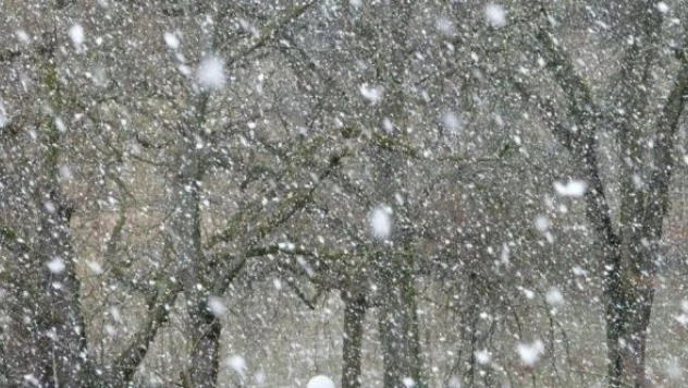 Dikkat! Erzurum ve çevrelerinde kuvvetli kar yağışı bekleniyor...