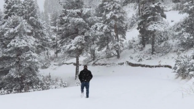 Erzurum'da kar kalınlığı yarım metreyi buldu... Köylere ulaşım yok