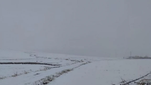 Erzurumlu çiftçinin yüzü karla güldü