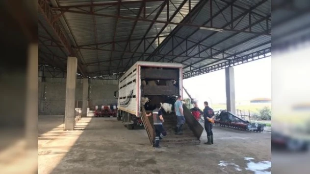 Hayvanları telef olan depremzedelere destek