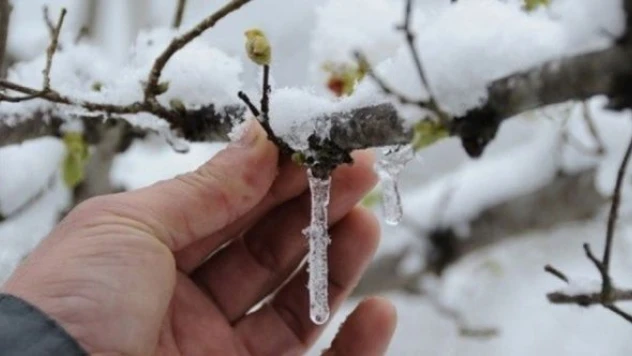 Meteorolojiden Erzincan'a zirai don uyarısı