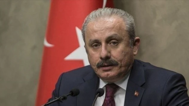 TBMM Başkanı Şentop: ''Bilinmeyen dil diye bir ibare kullanılmıyor''