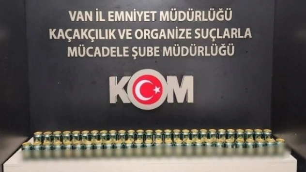 Van'da gümrük kaçakçılığı operasyonu