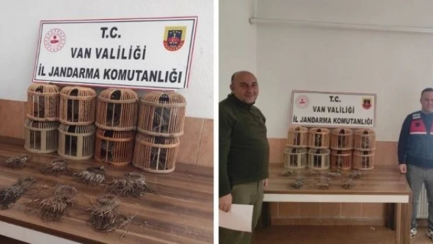 Van'da 'kaçak avcı' operasyonu