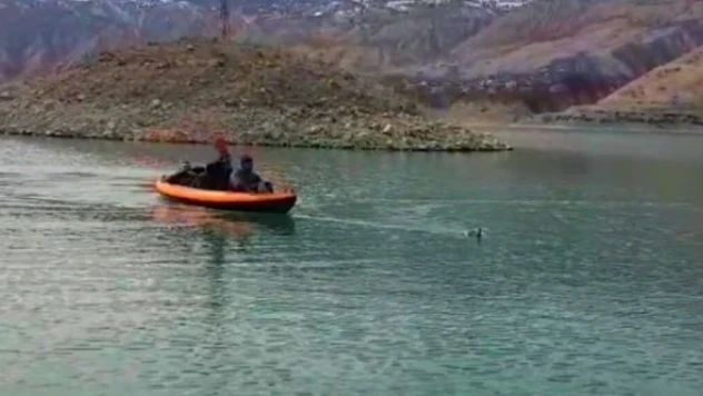 Yaban ördeği kano yapan öğretmenlere eşlik etti